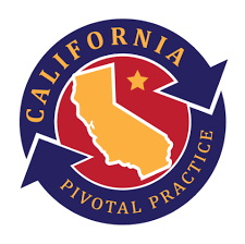 Pivotal-Practice-Award-logo