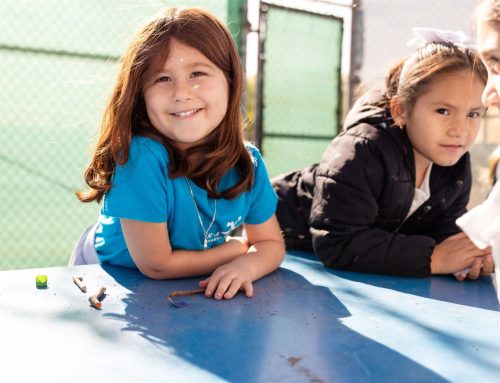 What is a Charter School